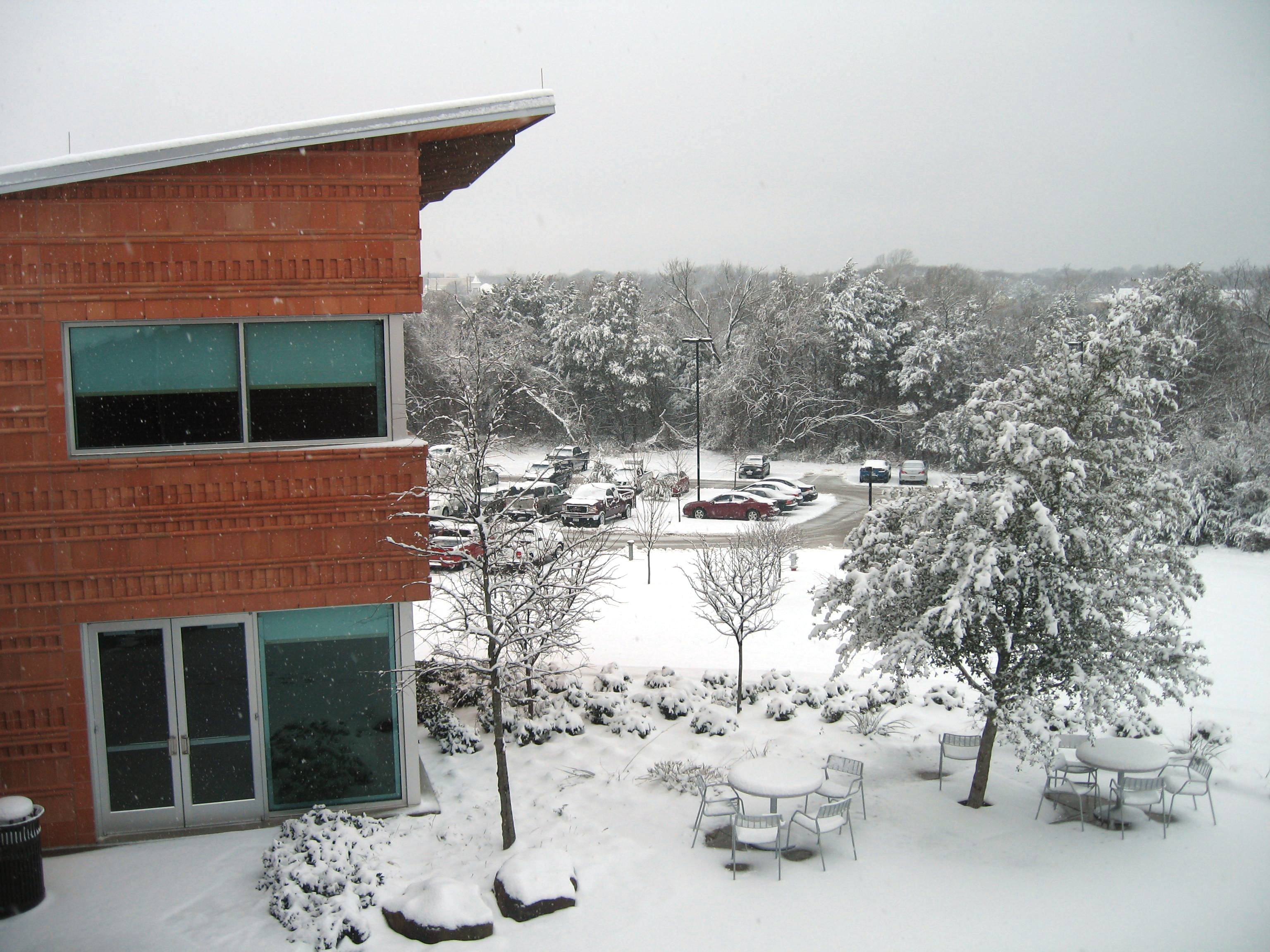 10.02.11 cedar hill snow scenes 015